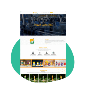 web development company in erode